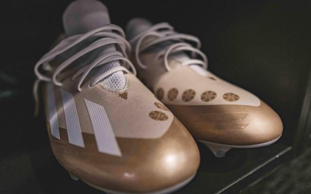 1699676437159049266.jpeg EB5CC577-EA93-4BD7-821D-FFDCD8F47FFC.jpeg